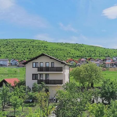Pensiunea Albina Sinnicoara Exteriör bild