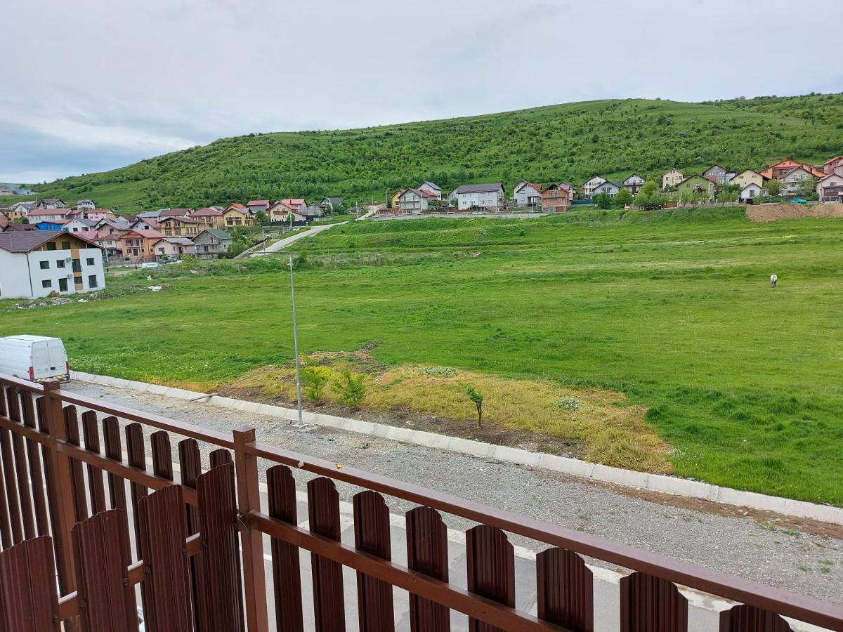 Pensiunea Albina Sinnicoara Exteriör bild