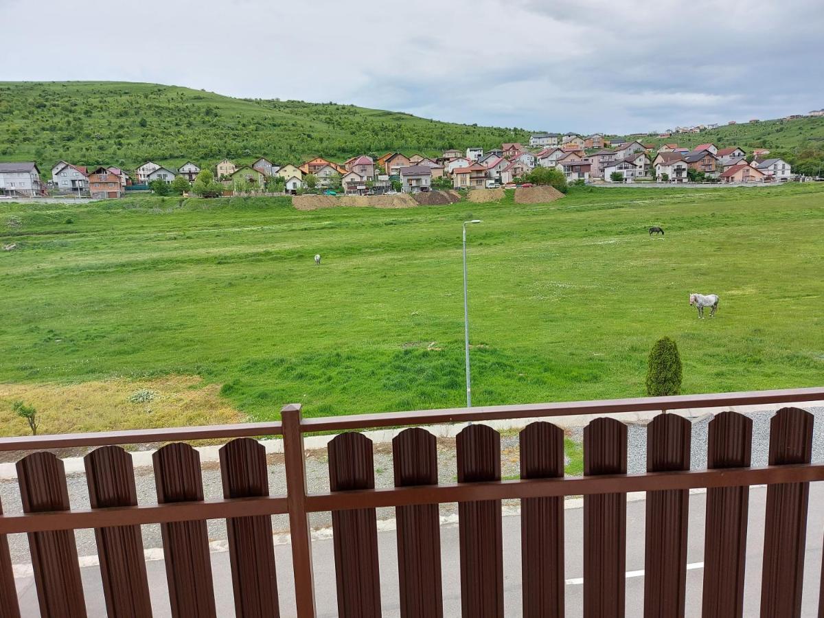 Pensiunea Albina Sinnicoara Exteriör bild