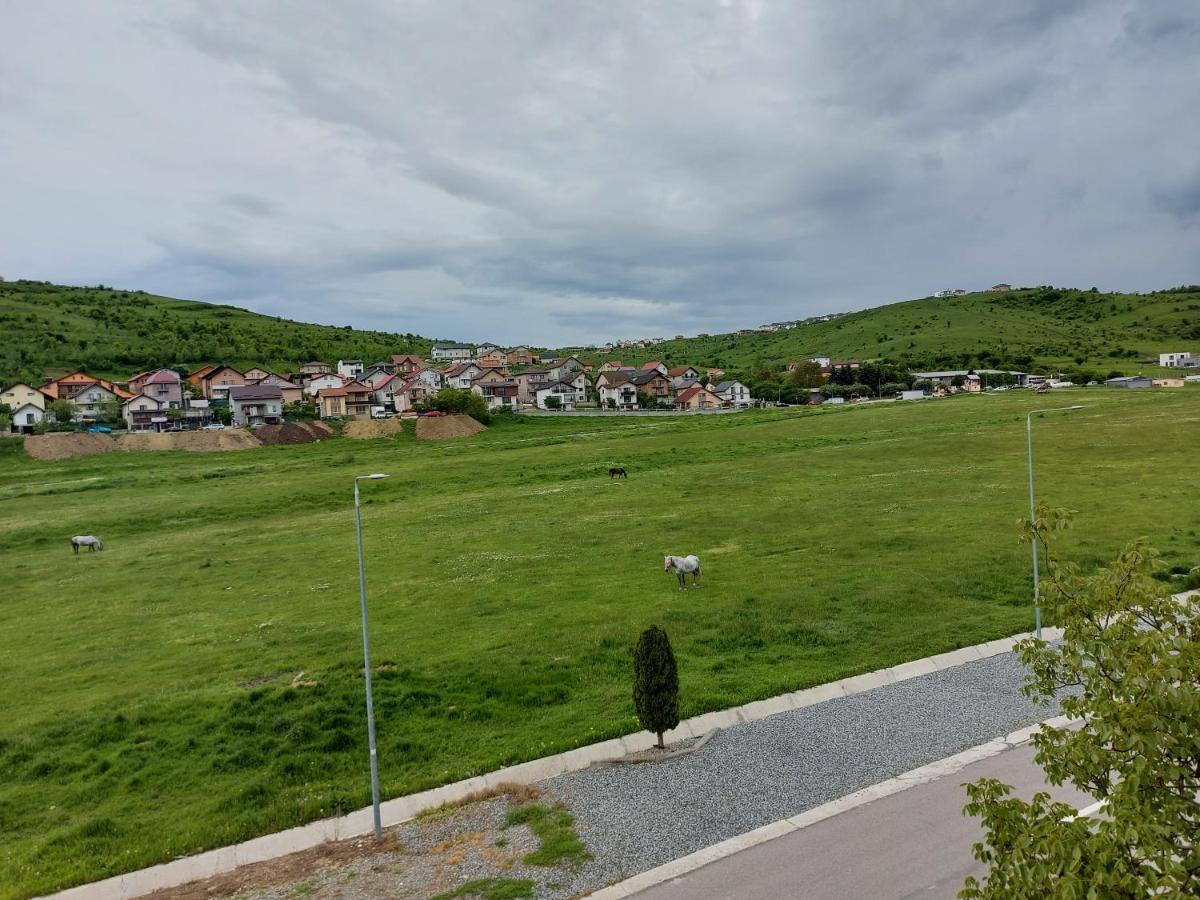 Pensiunea Albina Sinnicoara Exteriör bild