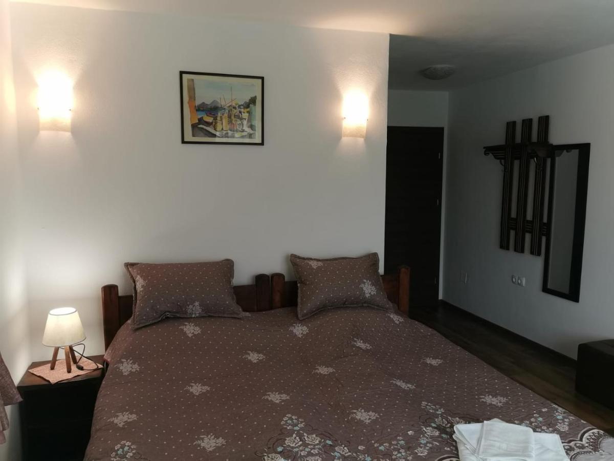 Pensiunea Albina Sinnicoara Exteriör bild